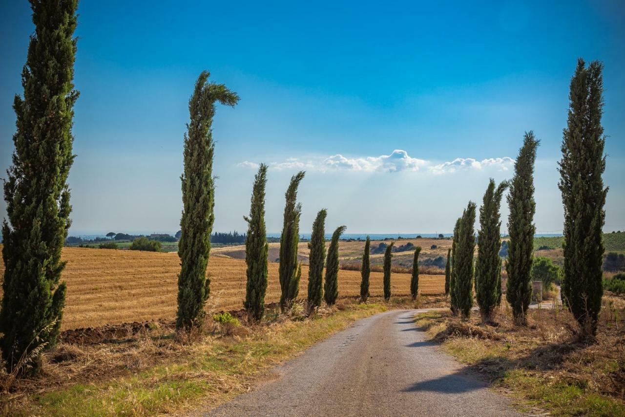 Agriturismo Tenuta Stoccatello 멘피 외부 사진